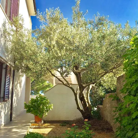 Martinovic Marusici (Split-Dalmatia)