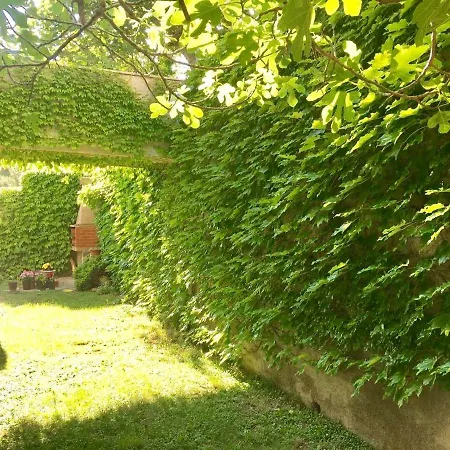 Martinovic Apartment *